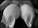 dscn0525.jpg
